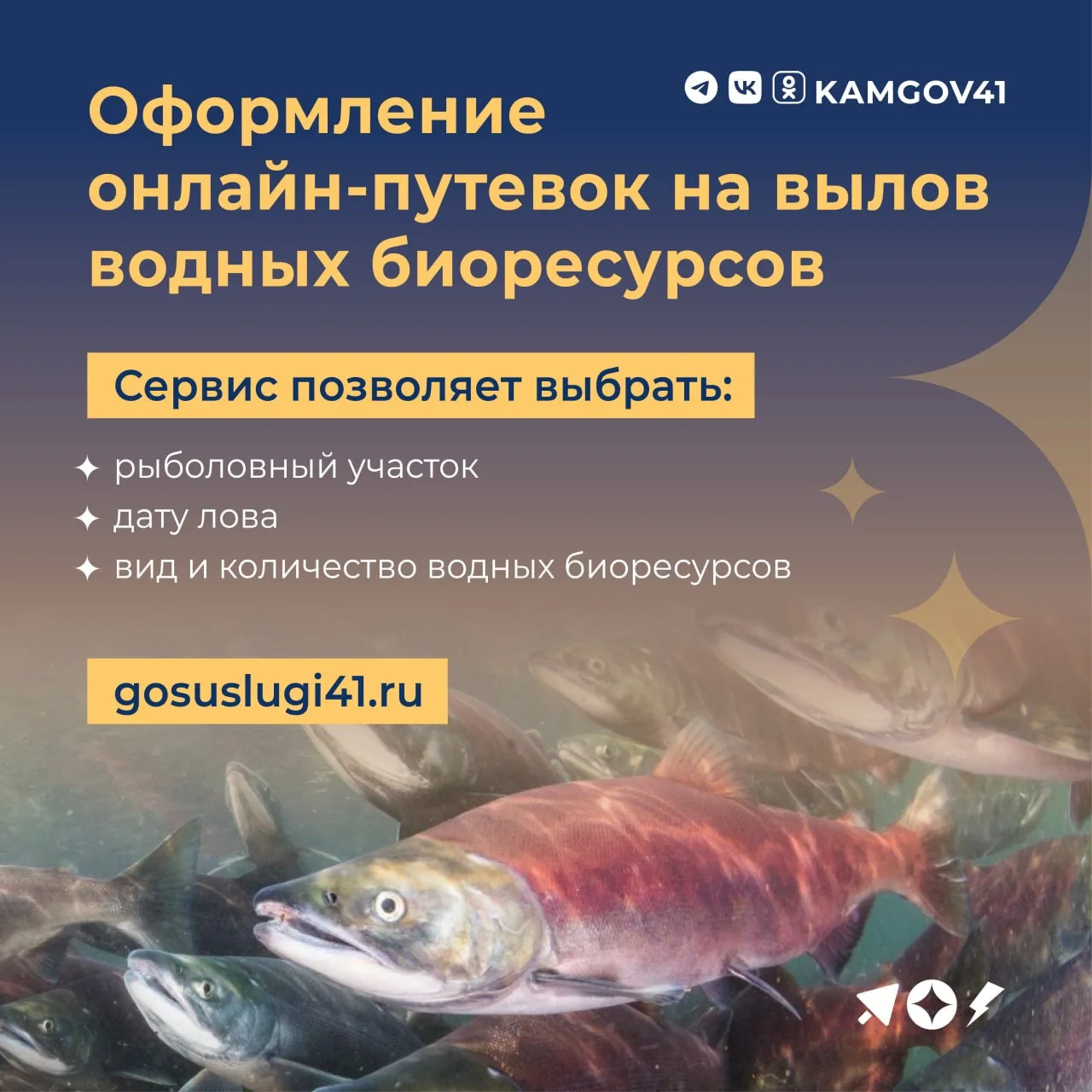🐟На портале ‎«Госуслуги41» запущен сервис оформления онлайн-путевок на вылов водных биоресурсов
 
➡