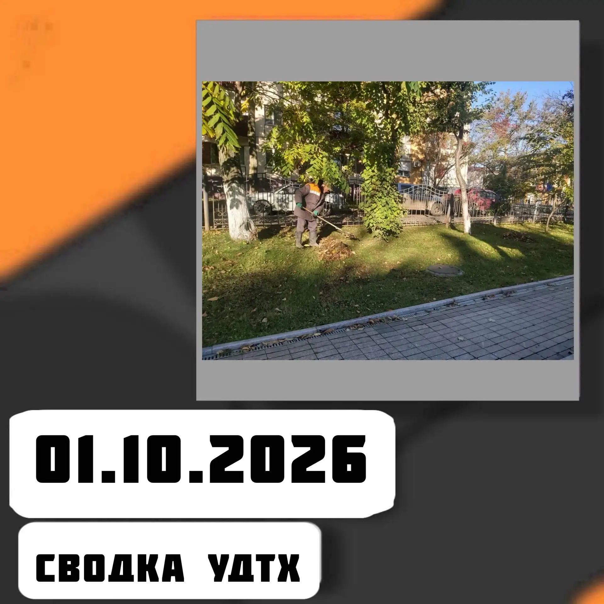 ➡️Сводка УДТХ на 01.10.2026