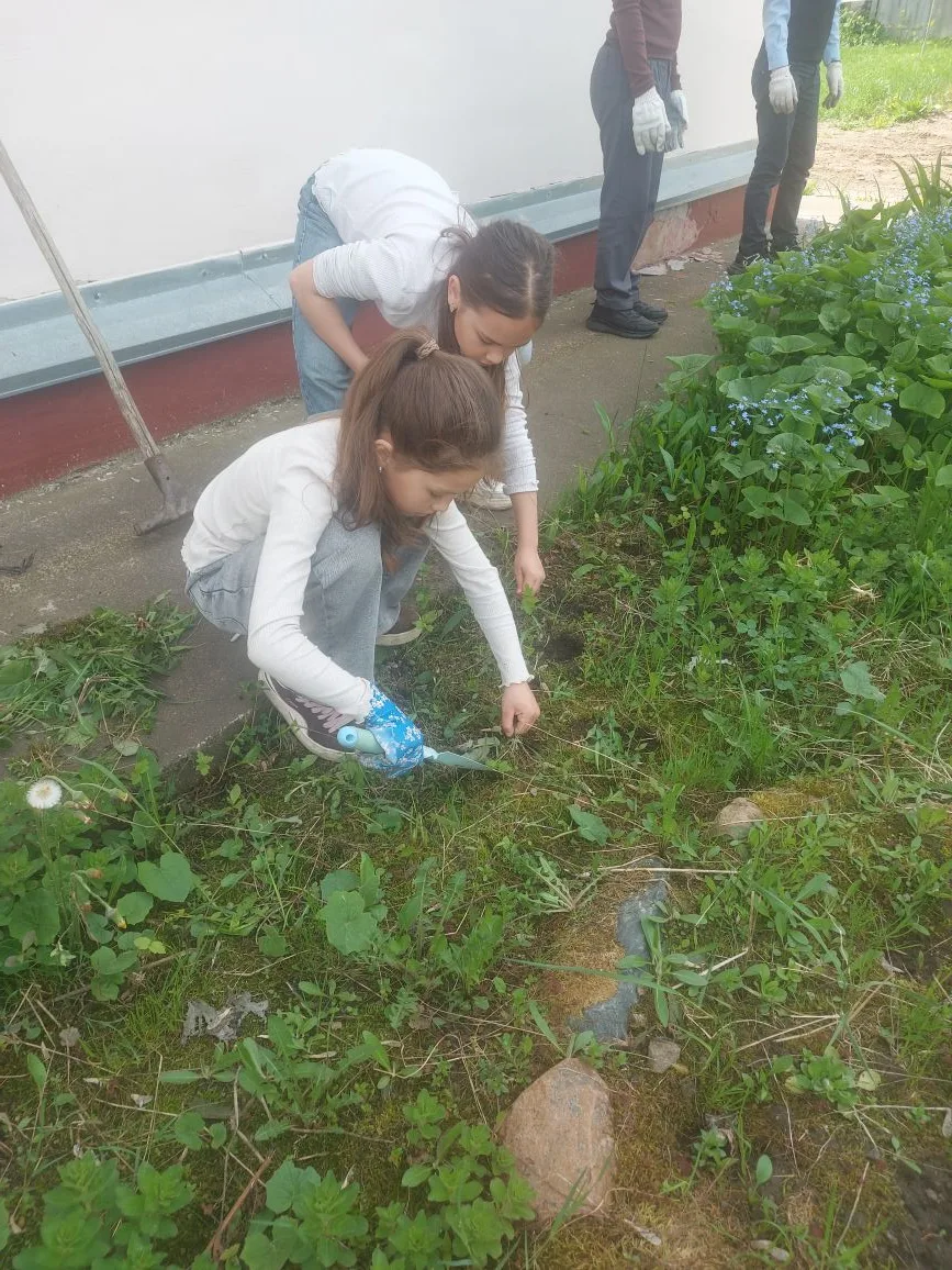 Трудовое воспитание учащихся