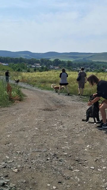 Тёплая встреча в рамках родительского клуба «Устойчивая семья»!