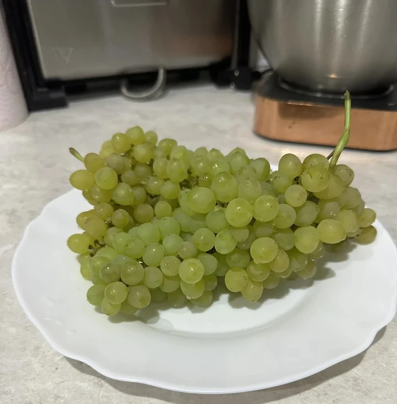😋 Трофей сезона - виноград!
