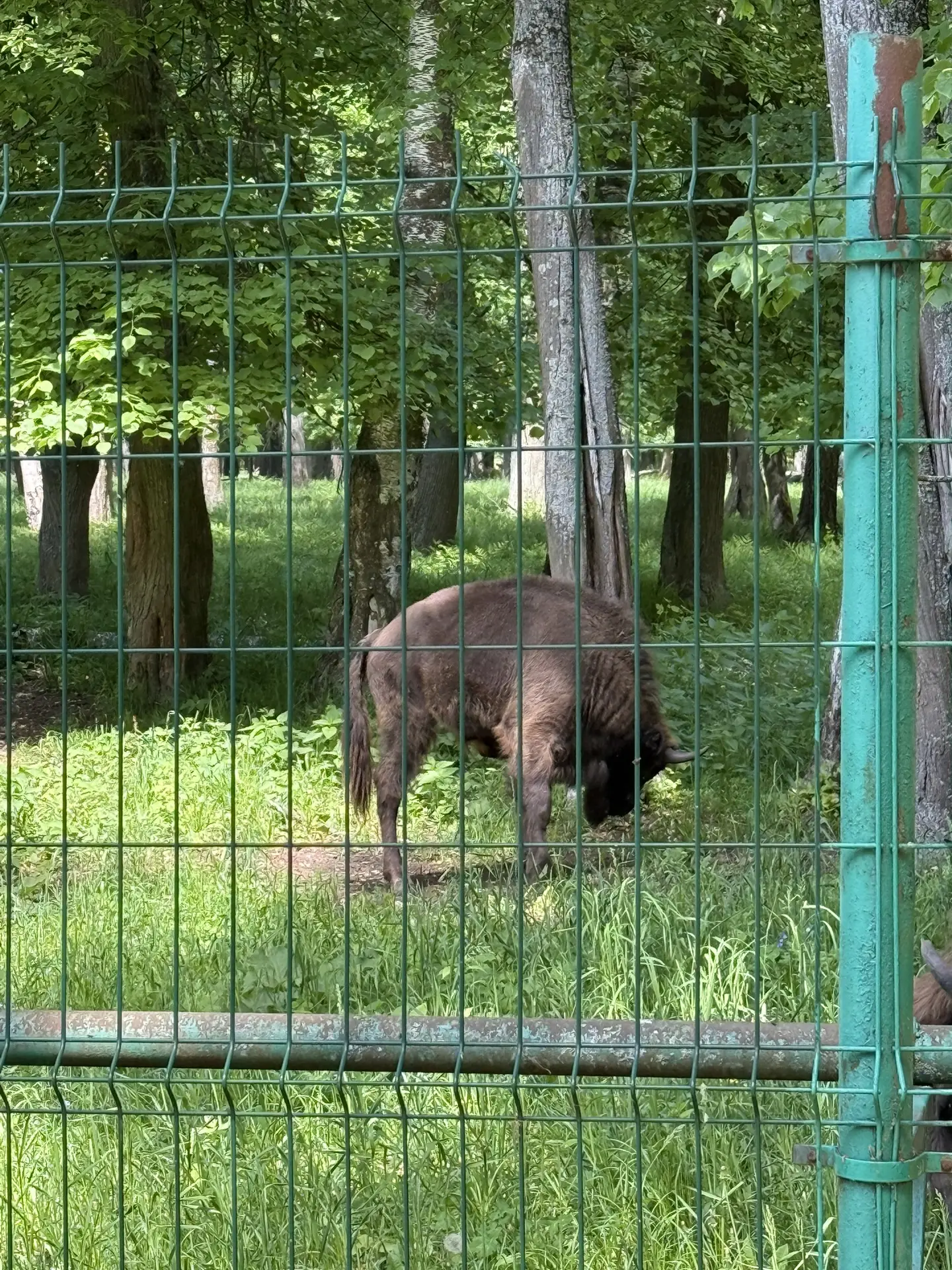 Победители экологического конкурса «Чистый холст» обучающиеся  3Б класса МАОУ «ДОК «Наследие» сегодн