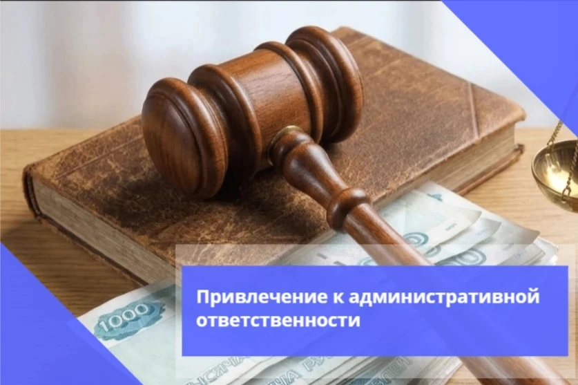 ⚖ Государственная жилищная инспекция Курской области через суд оштрафовала председателя правления ТС
