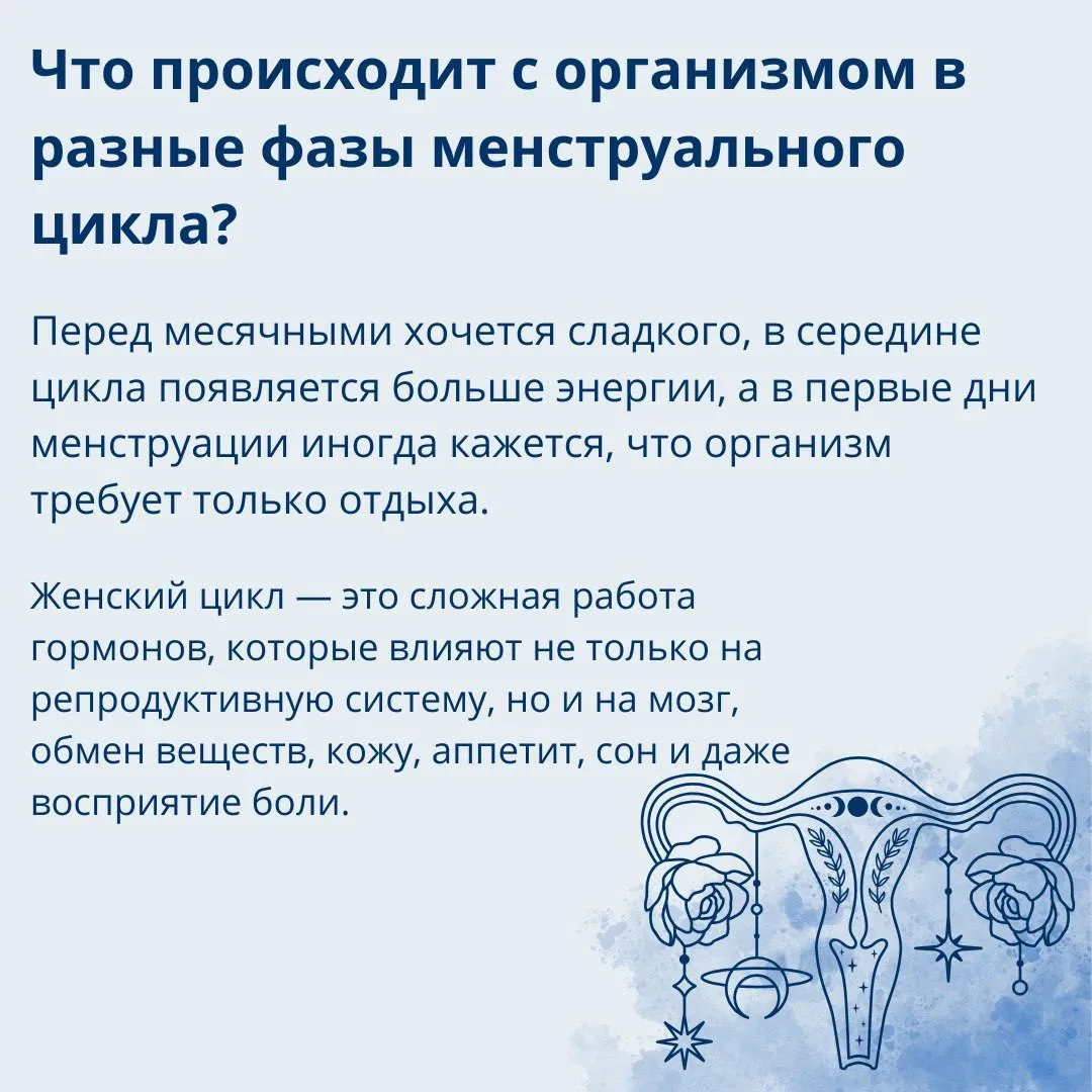 💙 Менструальный цикл — это не просто календарь. Это сложная биологическая система, кот...