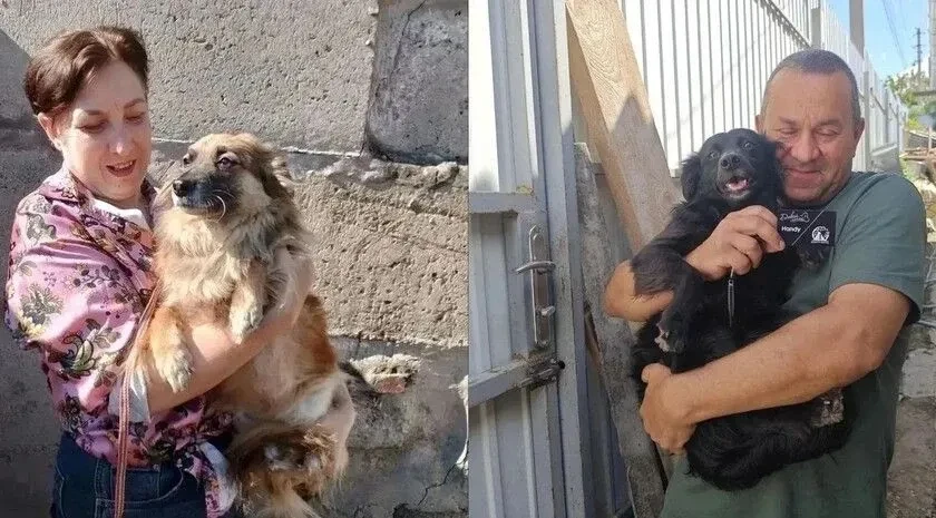🐶 Ещё две собаки из приюта «Помоги другу» обрели дом благодаря фотовыставке «Я здесь»