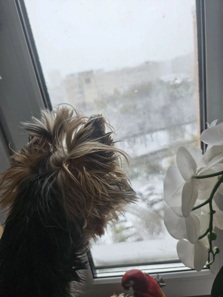 А как у вас сегодня за окном?