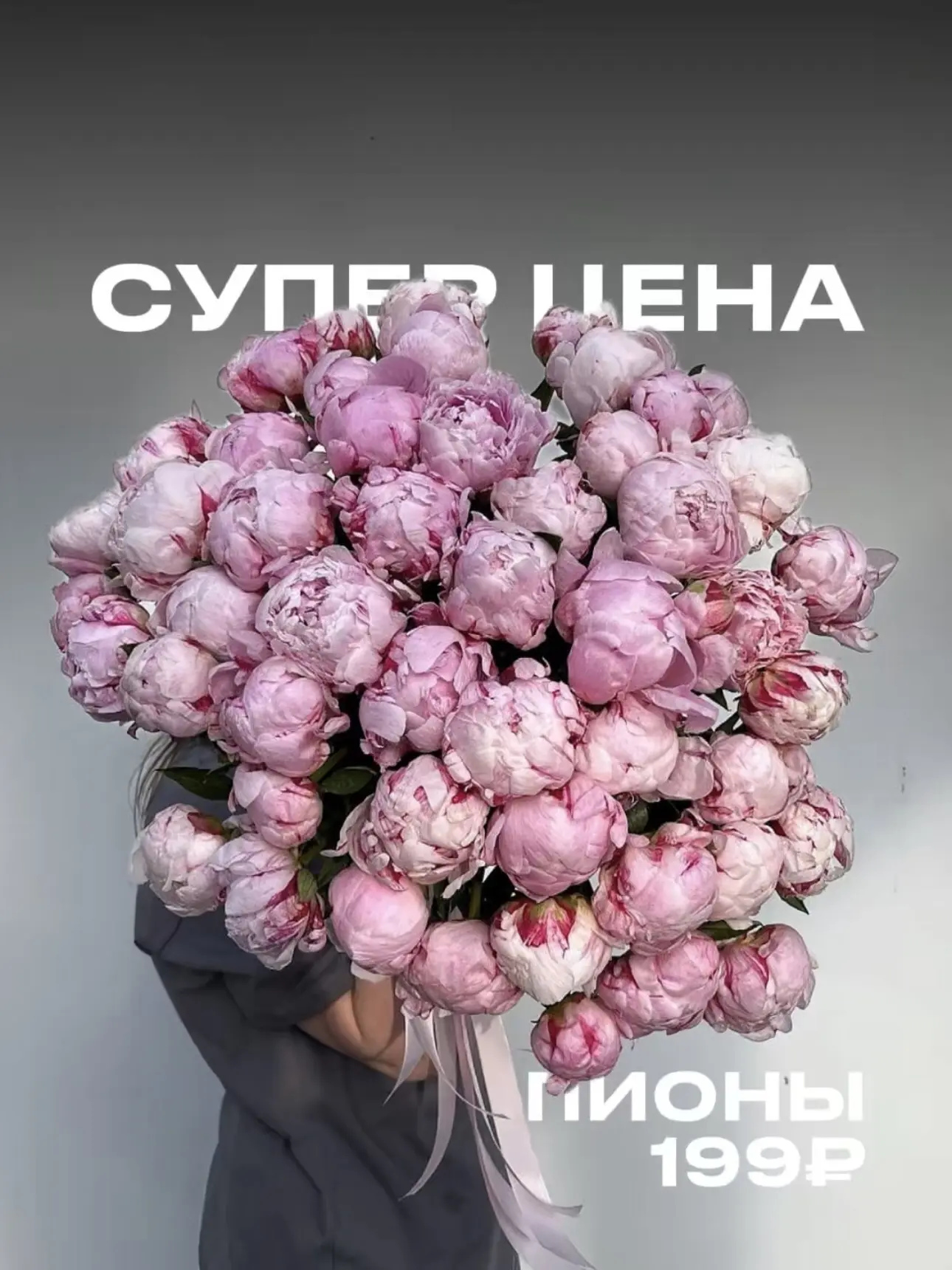 ШОК-ЦЕНА!!! Пионы по 199₽!!! Красиво завершаем сезон 🫶🏽