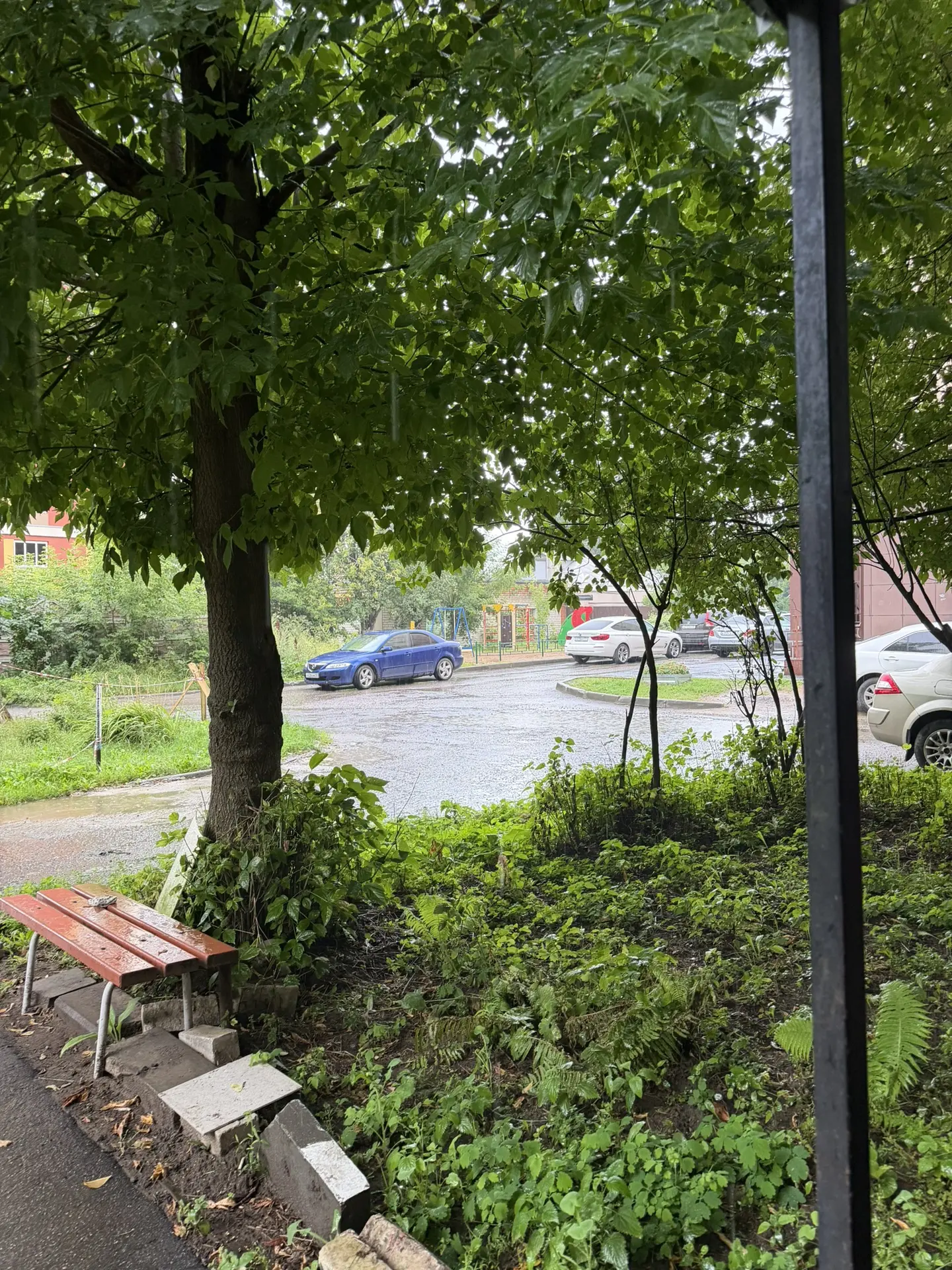 Хорошо поливает ☔️