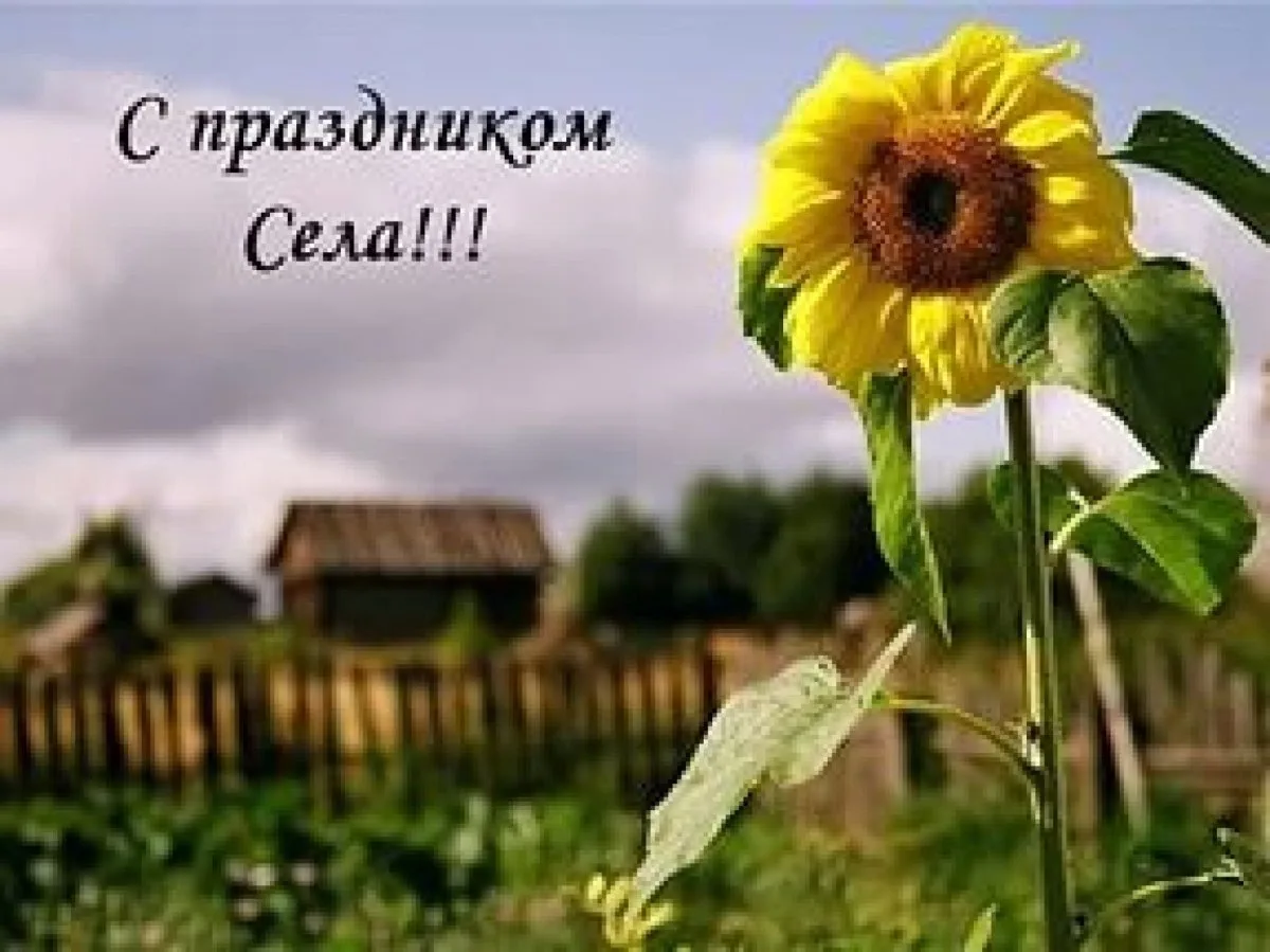 🎉 ДЕНЬ РОЖДЕНИЯ НАШЕГО СЕЛА! 🎉