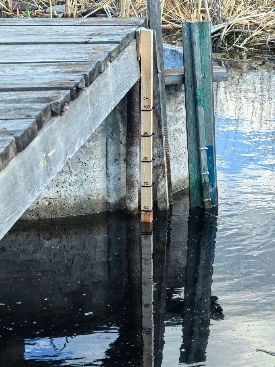 В Минусинске начали откачку воды из Цыганского болота  Коммунальные службы Минусинска приступили к о