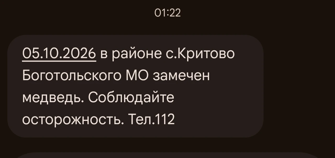 Вот и доброе утро 🙀🙀🙀