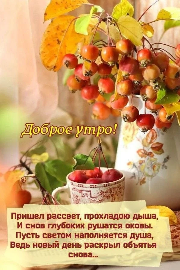 ☕️ #доброе_утро
