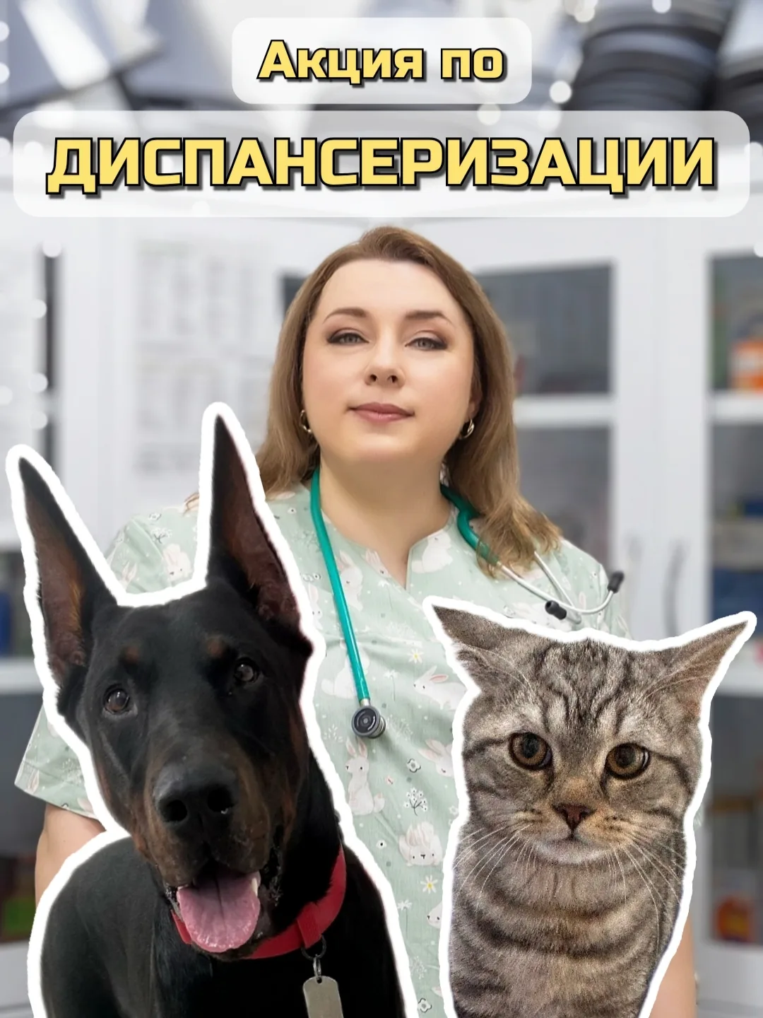 ⚡Ура! До конца лета — мы возобновили АКЦИЮ по ДИСПАНСЕРИЗАЦИИ для кошек и собак