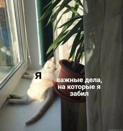 «Опять не сдержал слово»: почему мы наказываем себя виной за прокрастинацию? 😶