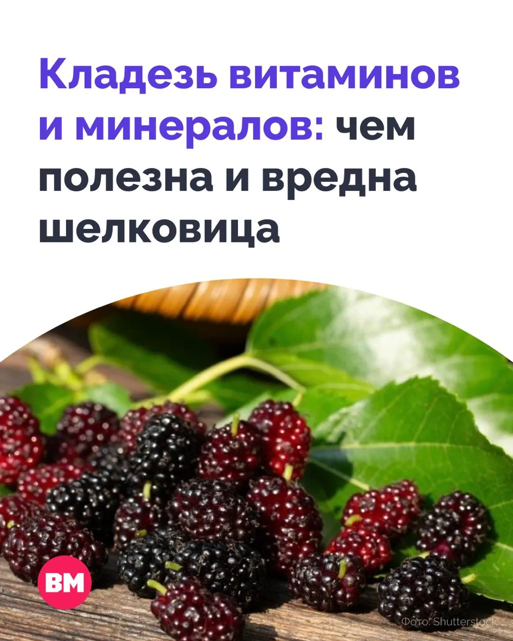 🍇 Шелковица оказалась не просто сладкой ягодой, а настоящим кладезем витаминов и минералов

В ней е