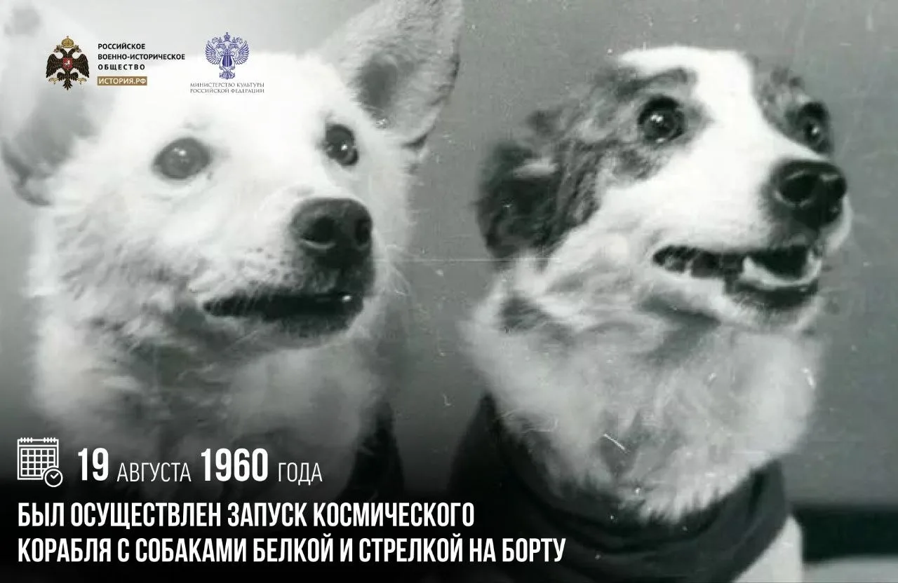 19 августа 1960 года был осуществлен запуск космического корабля с собаками Белкой и Ст...