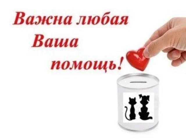 ⚠НУЖНА ФИН ПОМОЩЬ⚠ сентябрь