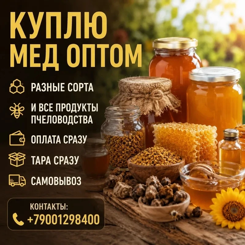 Куплю мед оптом