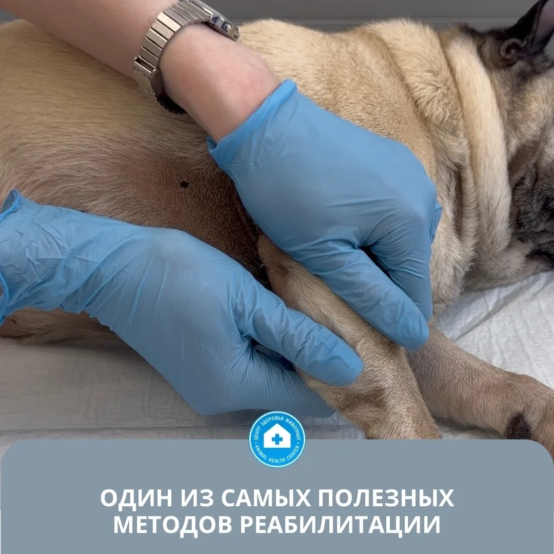 ВАЖНОСТЬ МАССАЖА В РЕАБИЛИТАЦИИ