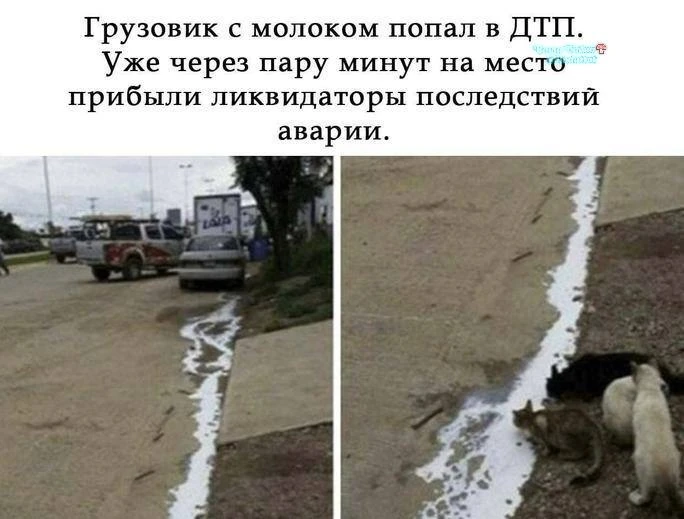 На износ трудятся 😁