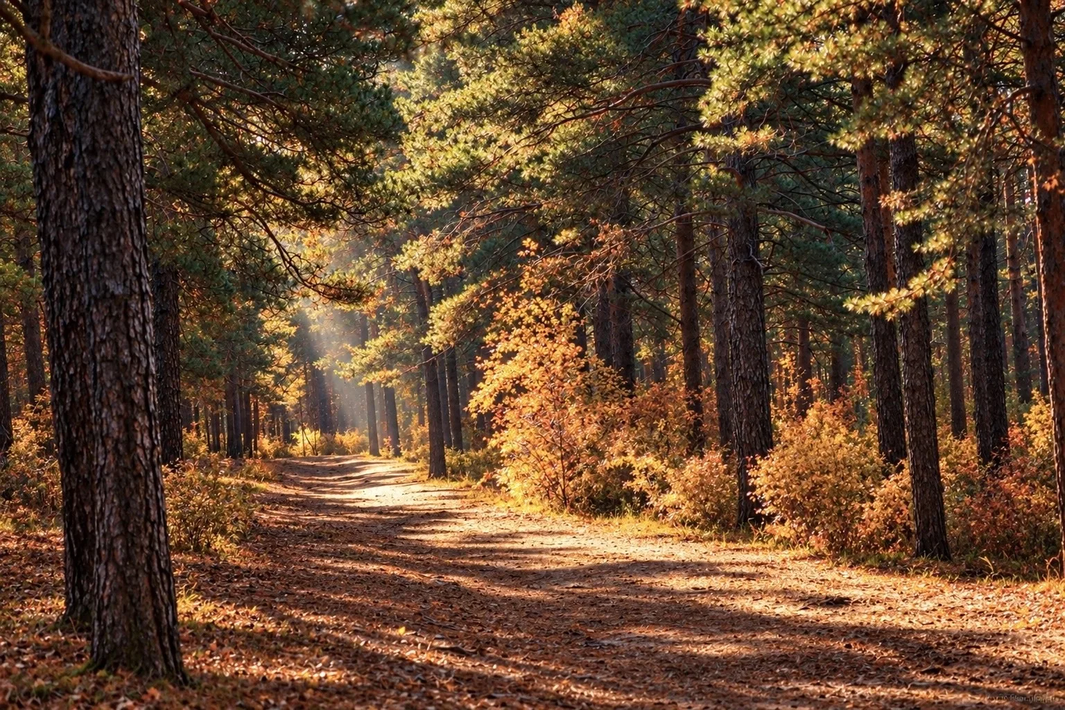 🍂Осень в Забайкалье
