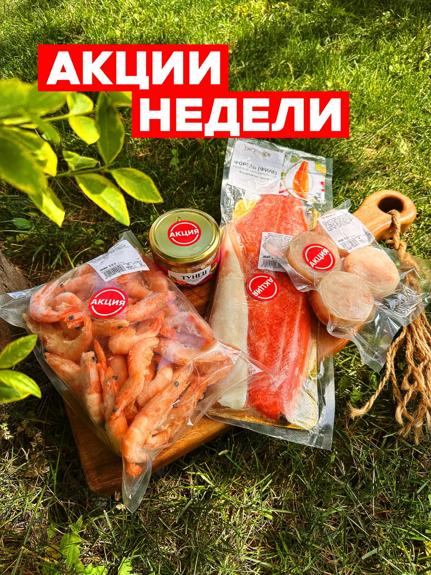 Акции недели 08.06-16.06