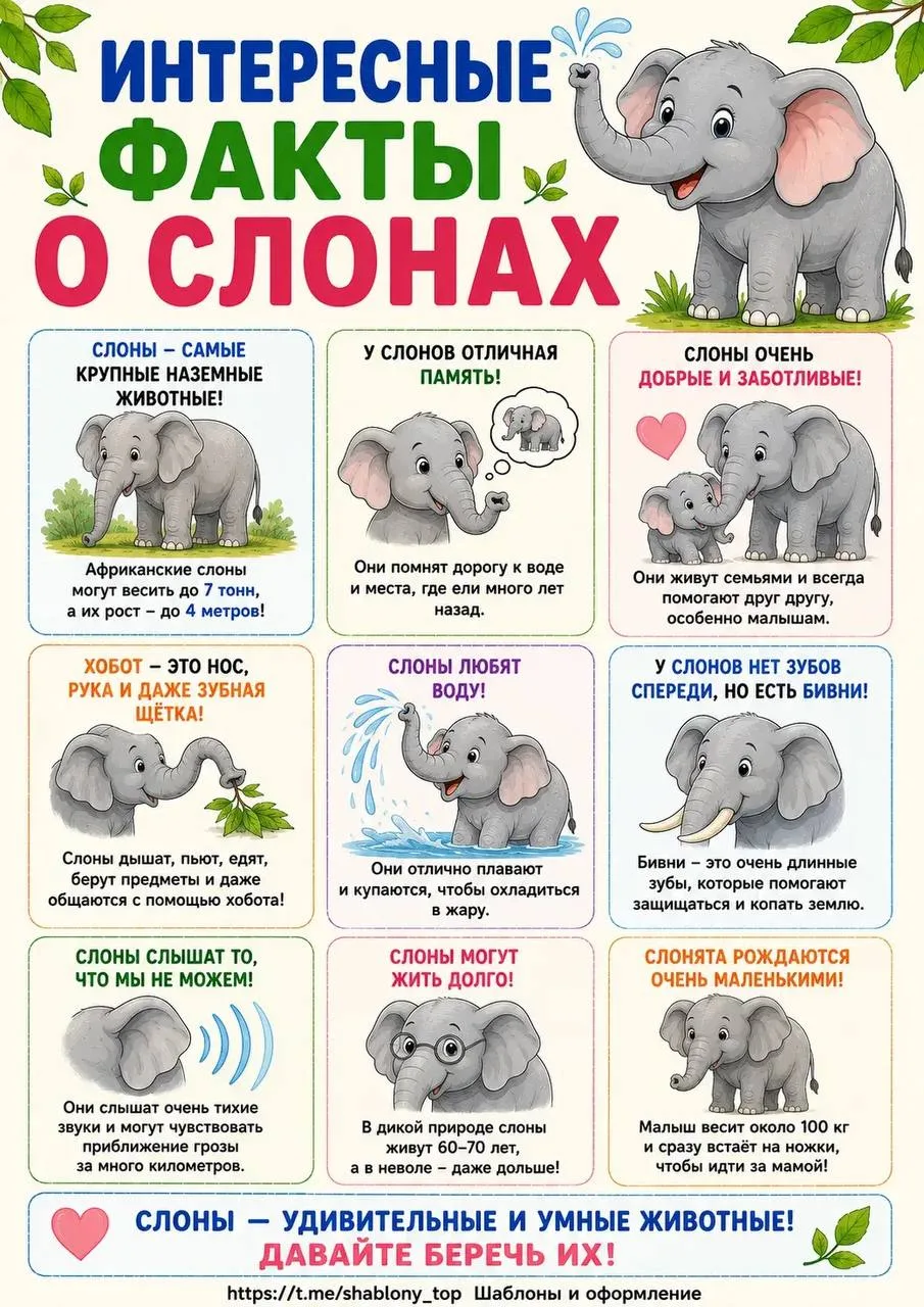 Изображение 4 к публикации «Шаблоны| Поделки| Образование»
