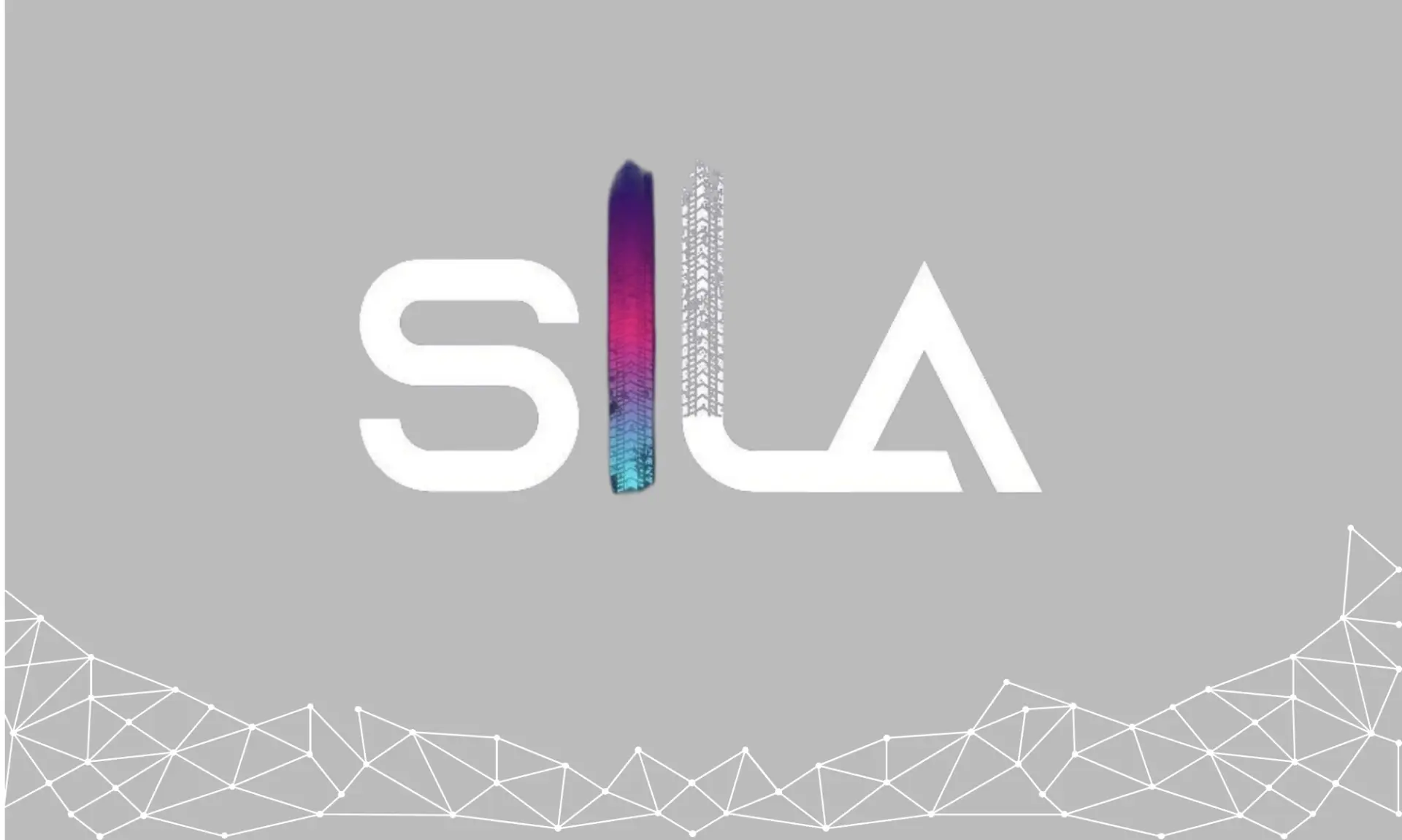 🏎️ Новый партнёр в программе преференций — картинг SILA!