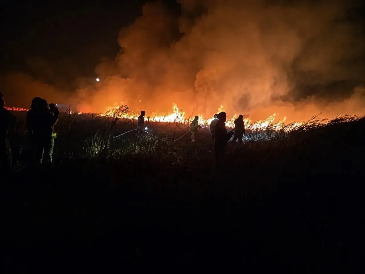 🔥Отправиться тушить пожар решится не каждый. Но анапские казаки показали настоящий при...