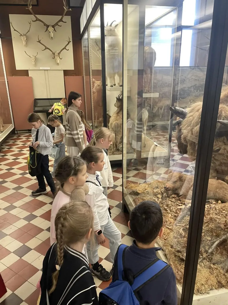 🏛 Учимся вне класса: музеи Москвы  🦉Ученики 2-Е класса посетили Зоологический музей Московского госу