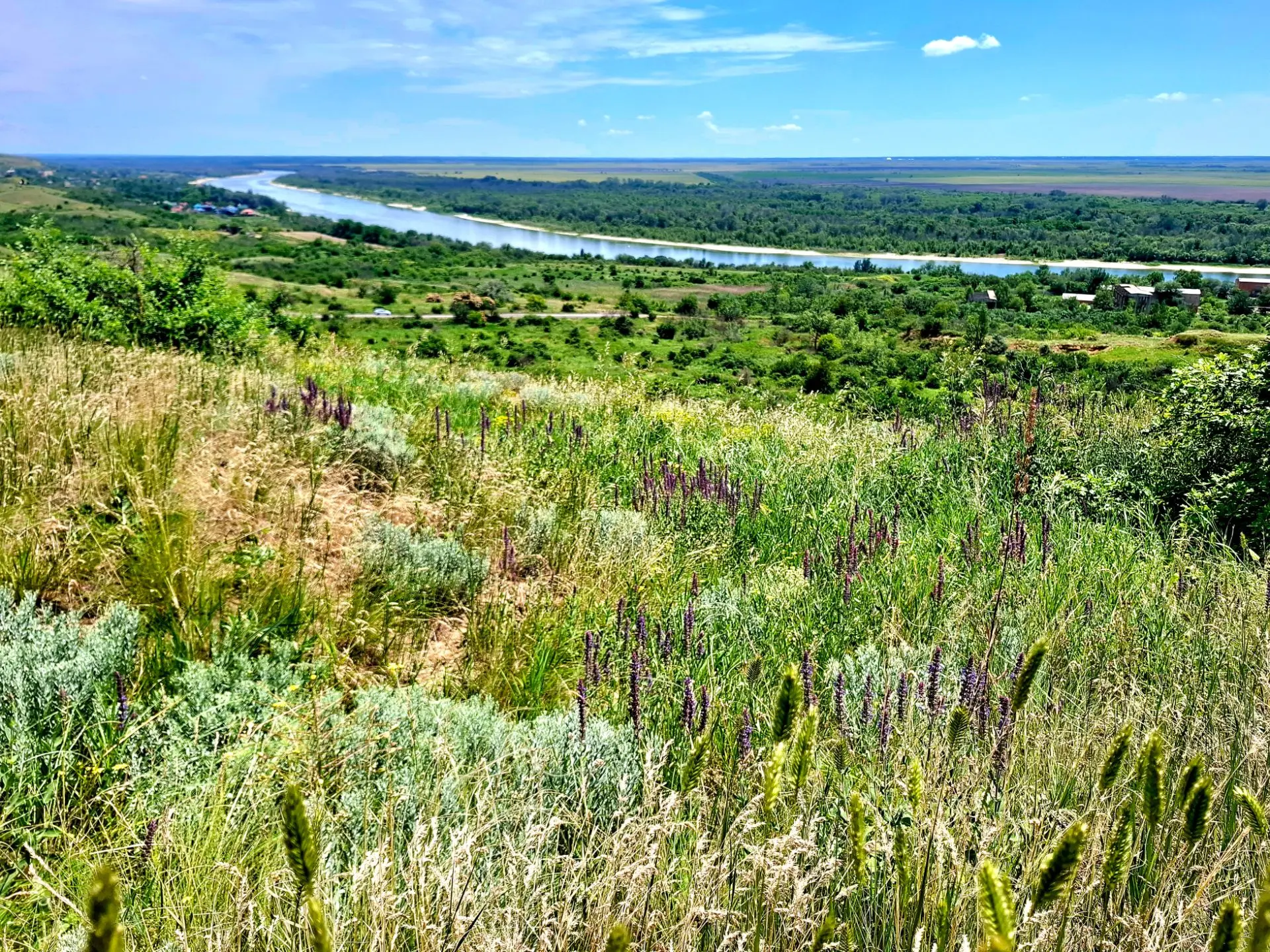Вот такие были выходные. 🌳🌊☀️ 

Обычно иссушенные жарой и ветром степи удивленно вспыхнули после з