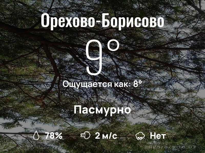Что с погодой в Орехово-Борисово?