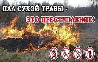 С наступлением весенне-летнего периода опасность природных пожаров возрастает в разы❗️⁣