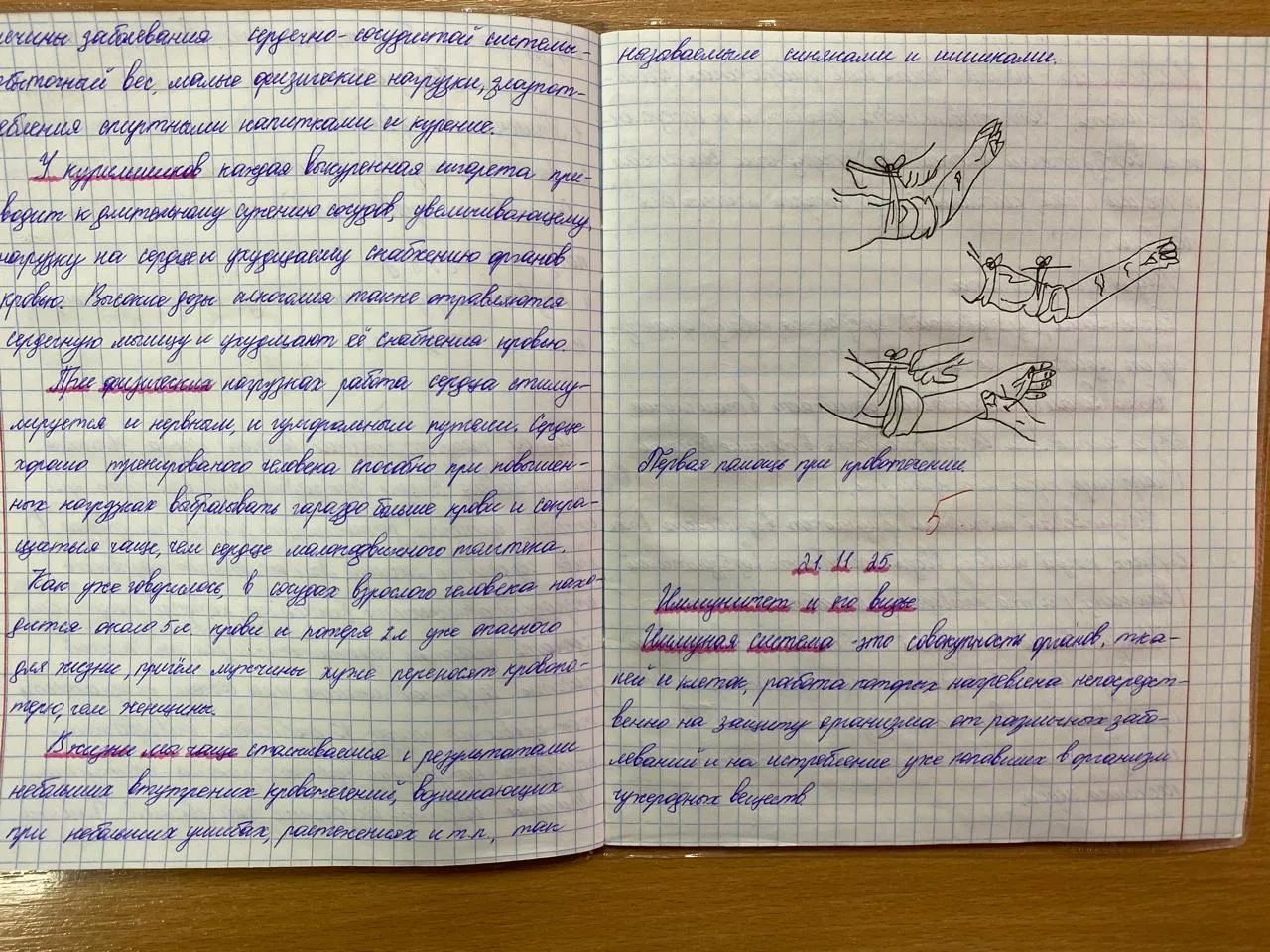 Рабочие тетради по биологии. Учитель Шабиханова З.Л.