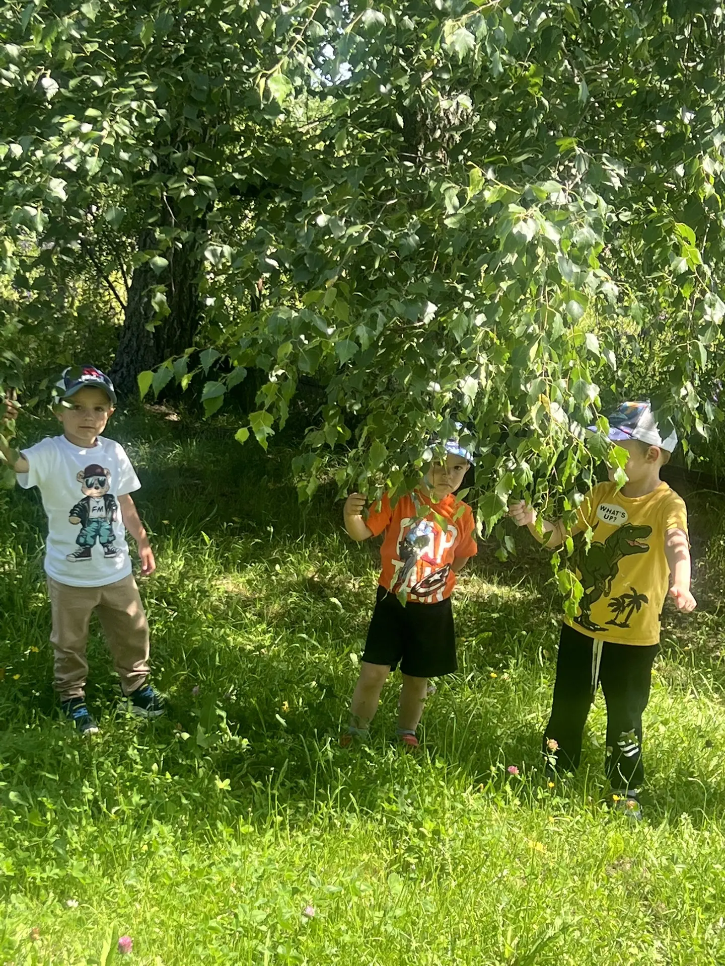 🌸Летняя прогулка (разновозрастная группа)😉🌳🌷