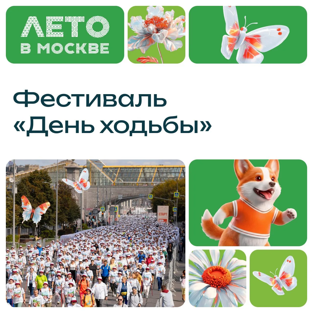 🚶‍♂️Шагаем по Москве! В столице пройдет «День ходьбы» — массовая прогулка вдоль живопи...