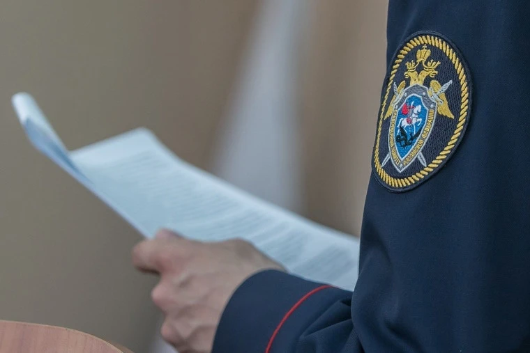 В Ростовской области возбуждено уголовное дело по факту мошенничества в сфере кредитова...