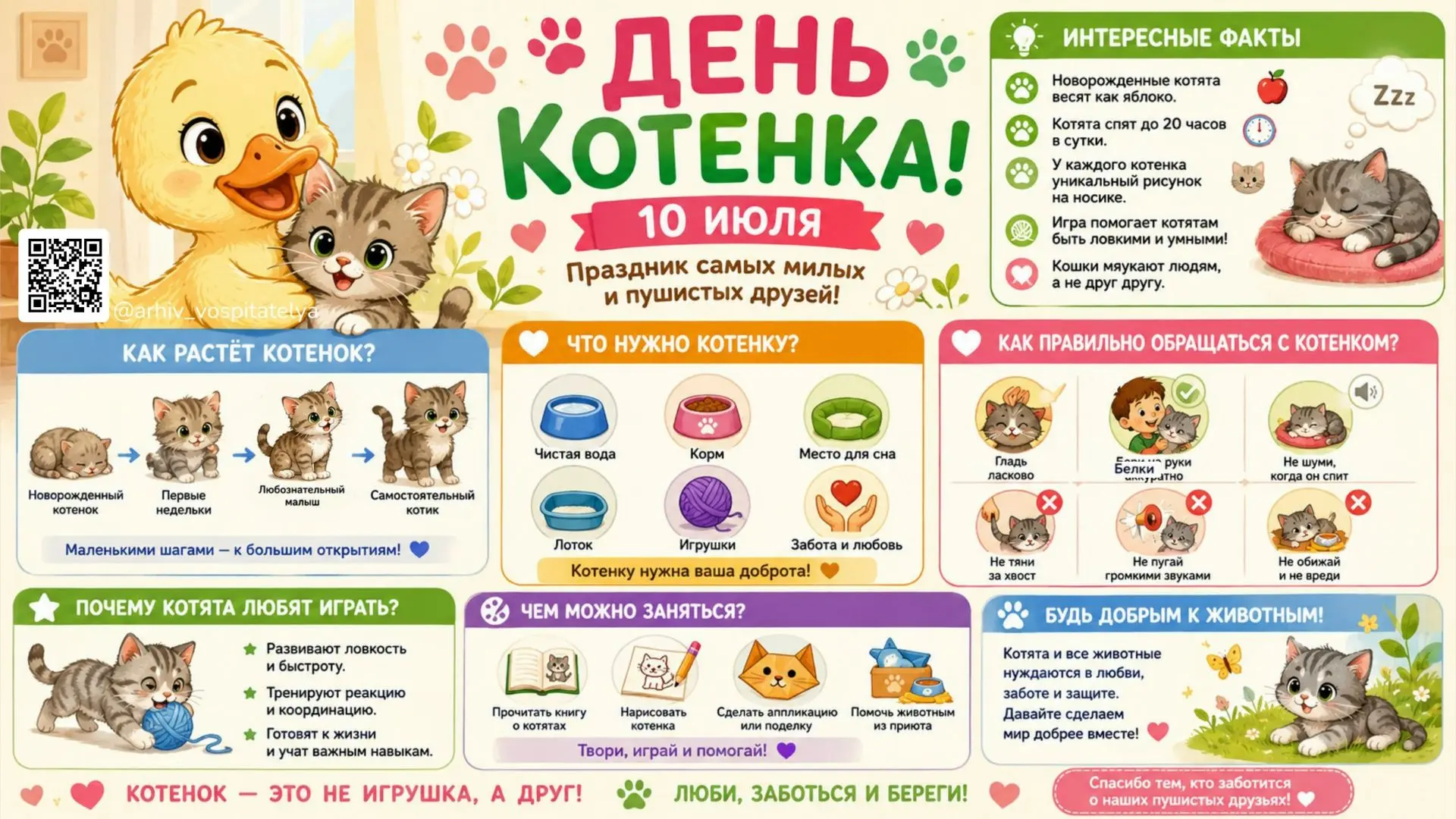 🐱 День котенка