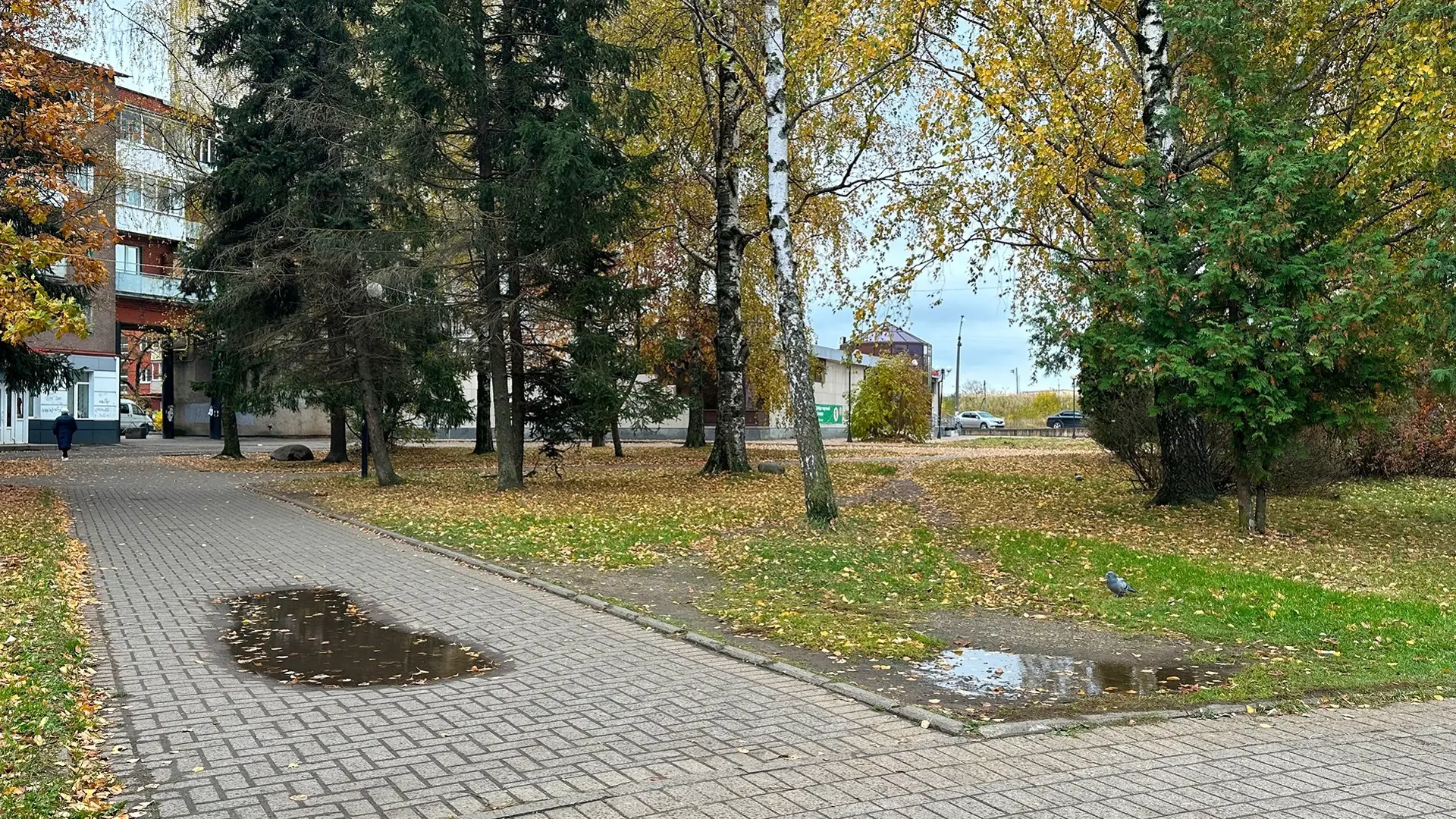 В Великих Луках благоустраивают скверы!

Хорошие новости: в городе активно идут работы по созданию к