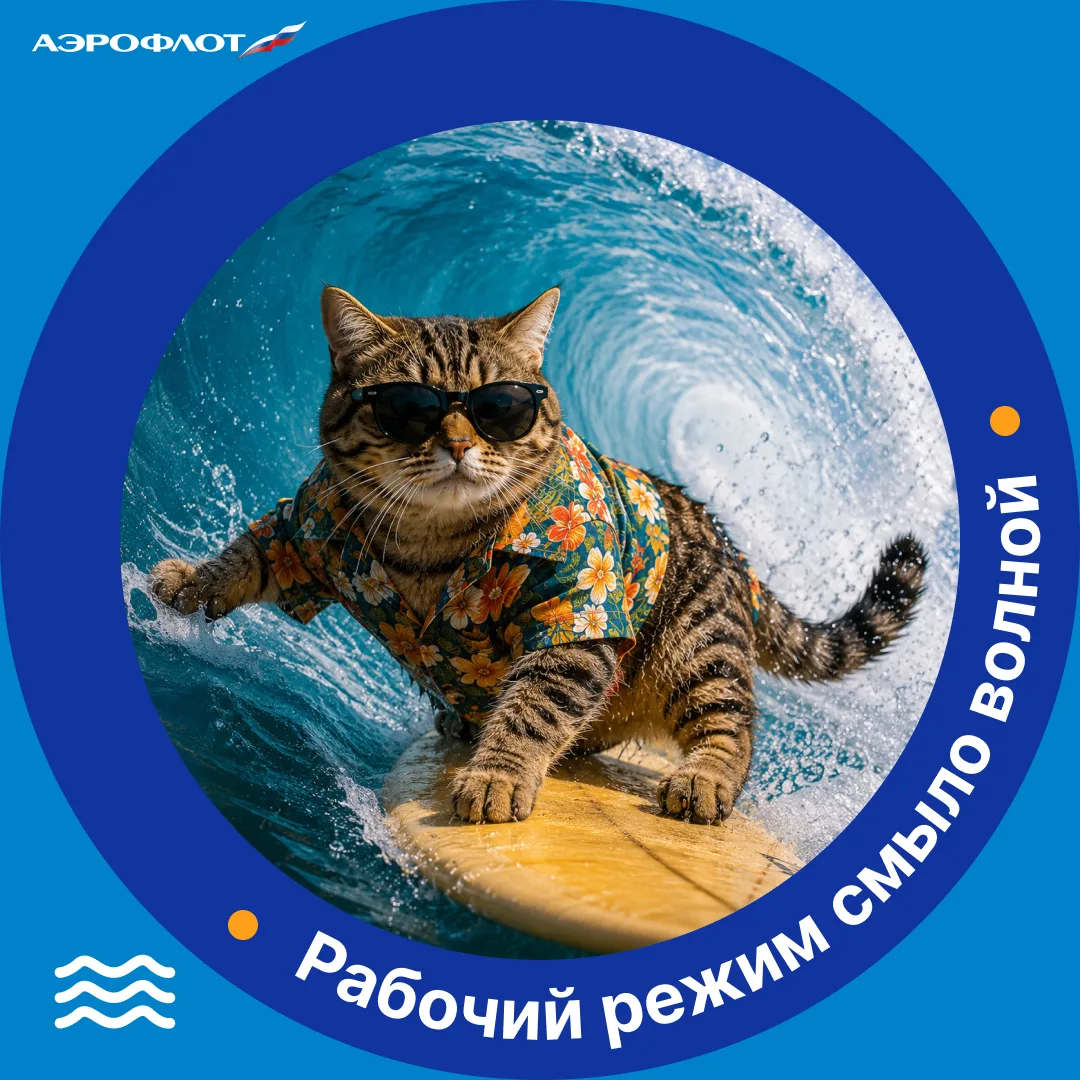 Изображение 7 к публикации «АЭРОФЛОТ»