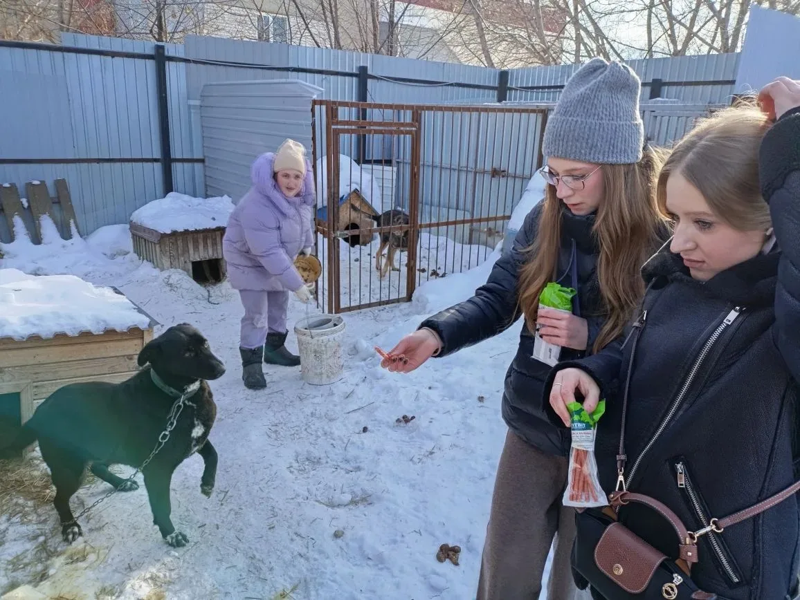 Посещение приюта для собак "Ковчег"  Ребята 11э класса недавно посетили приют для собак "Ковчег", ос