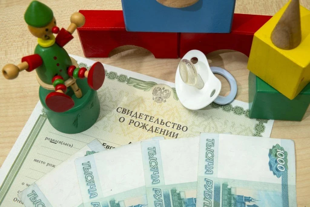 Меньше месяца осталось у амурских родителей, чтобы подать заявления на новую ежегодную ...