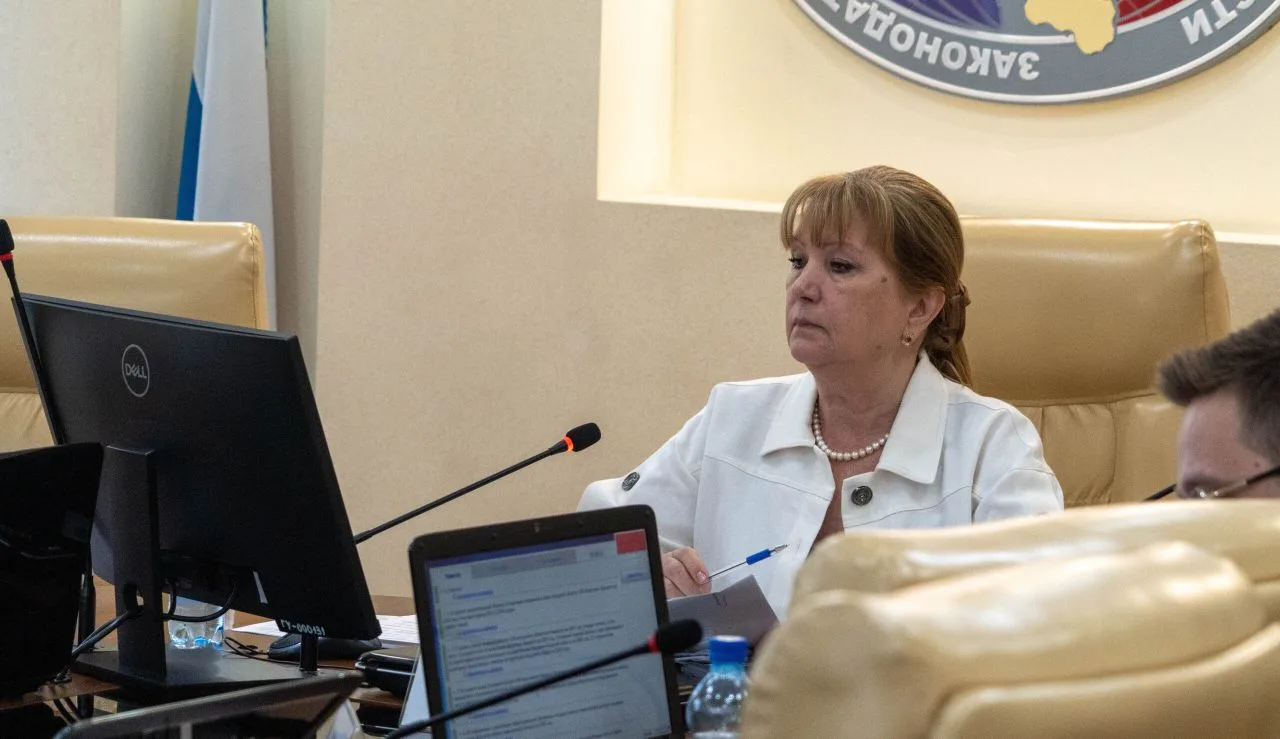 Амурские парламентарии заслушали итоги реализации программы госгарантий бесплатной медпомощи за 2025