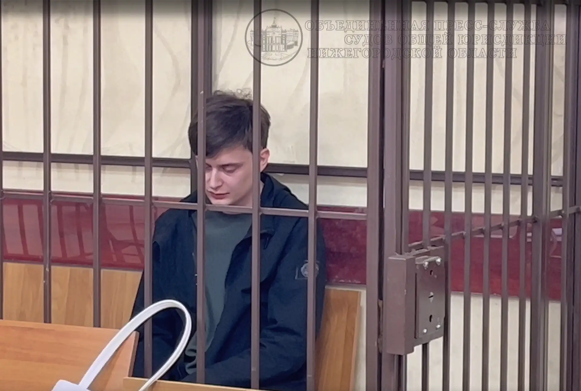 Богородский городской суд Нижегородской области избрал меру пресечения в виде заключени...