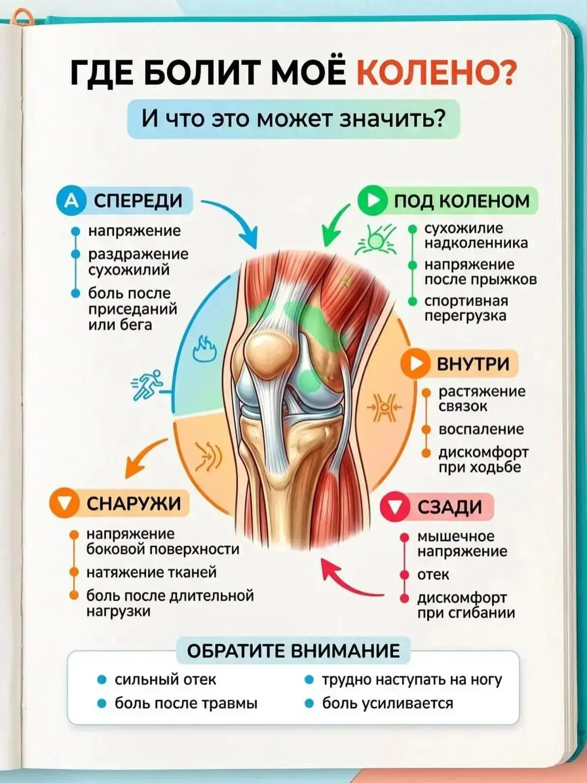 🦵 Боль в колене может ощущаться совершенно по-разному — спереди, сбоку, под коленом ил...