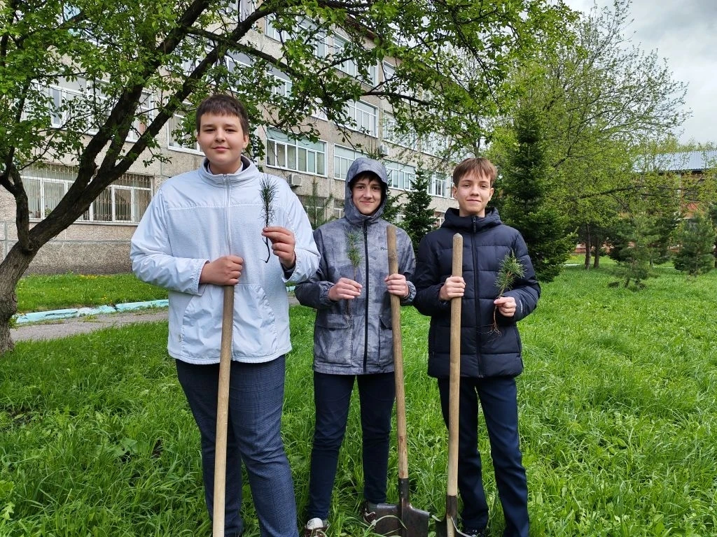 🌲 Растим будущее вместе!  Сегодня произошло маленькое чудо: на территории нашей школы стало на неско