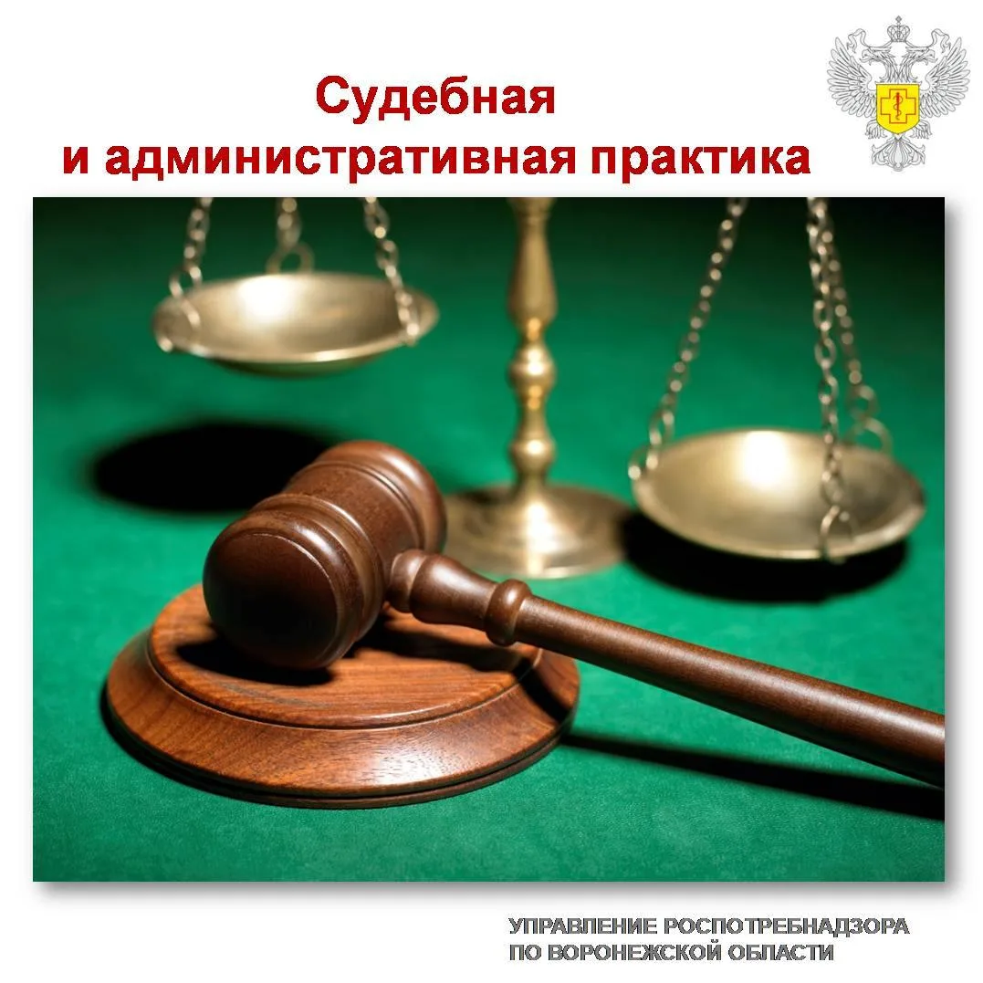 Должностным лицом территориального отдела в Борисоглебском городском округе, Грибановск...