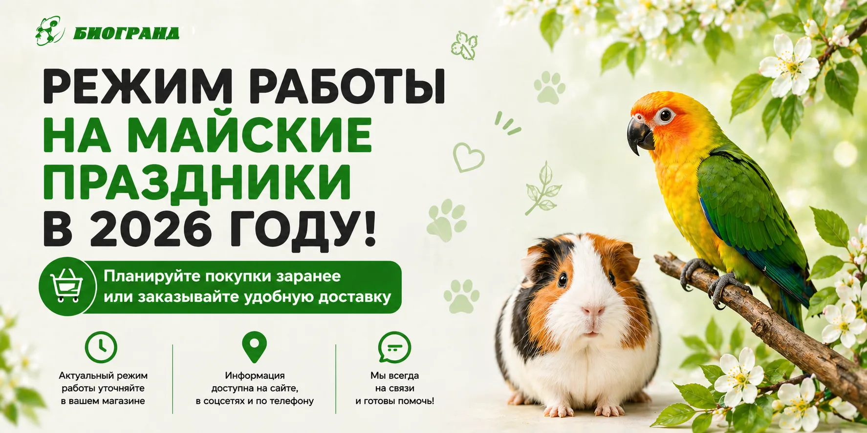 Дорогие друзья!