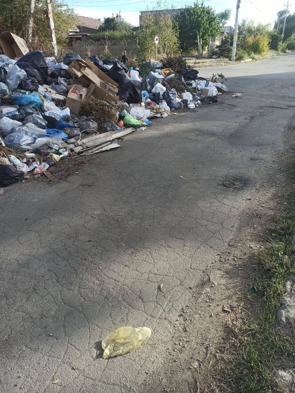 🗑️ На Моряков мусор свозят прямо по дороге к школе