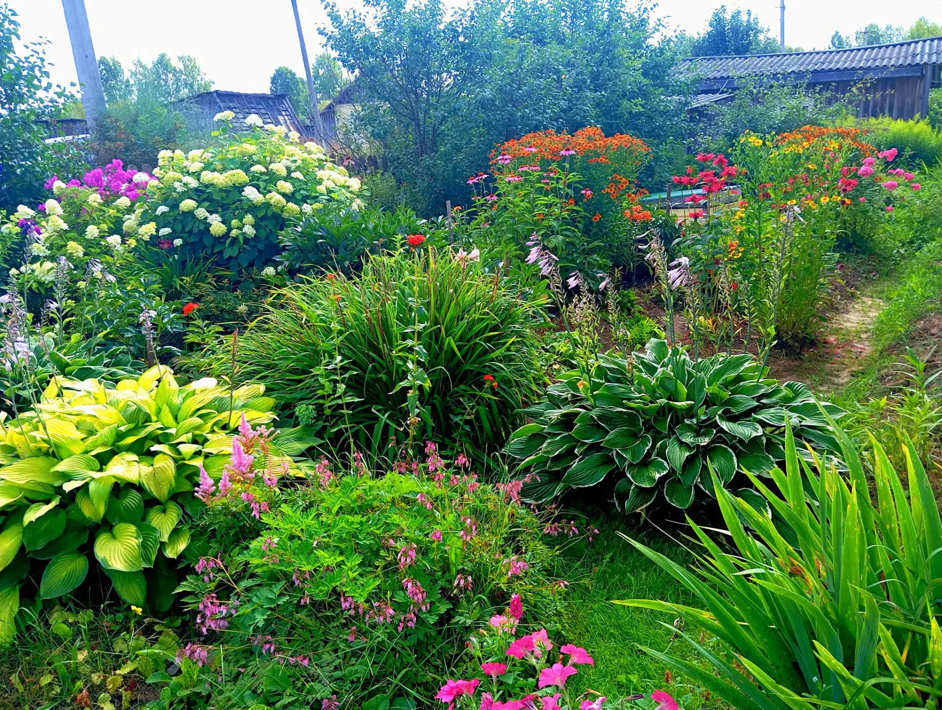 В саду у наших подписчиков 🌸🌺🌻🌹🌷🌼💐